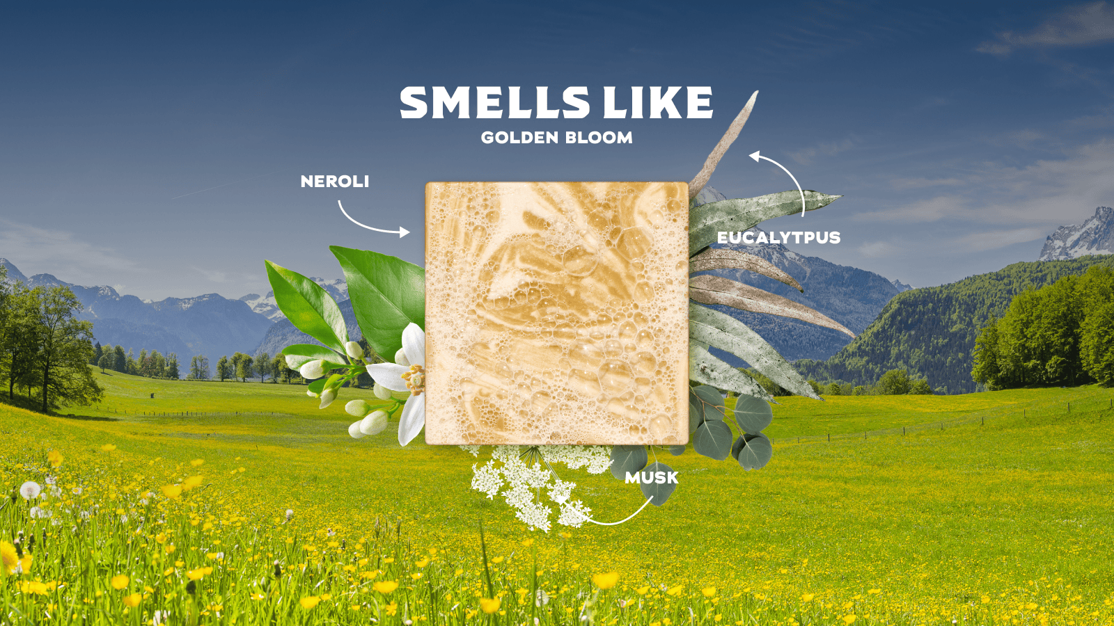 Mountain Meadow Bar Soap - 6 Units